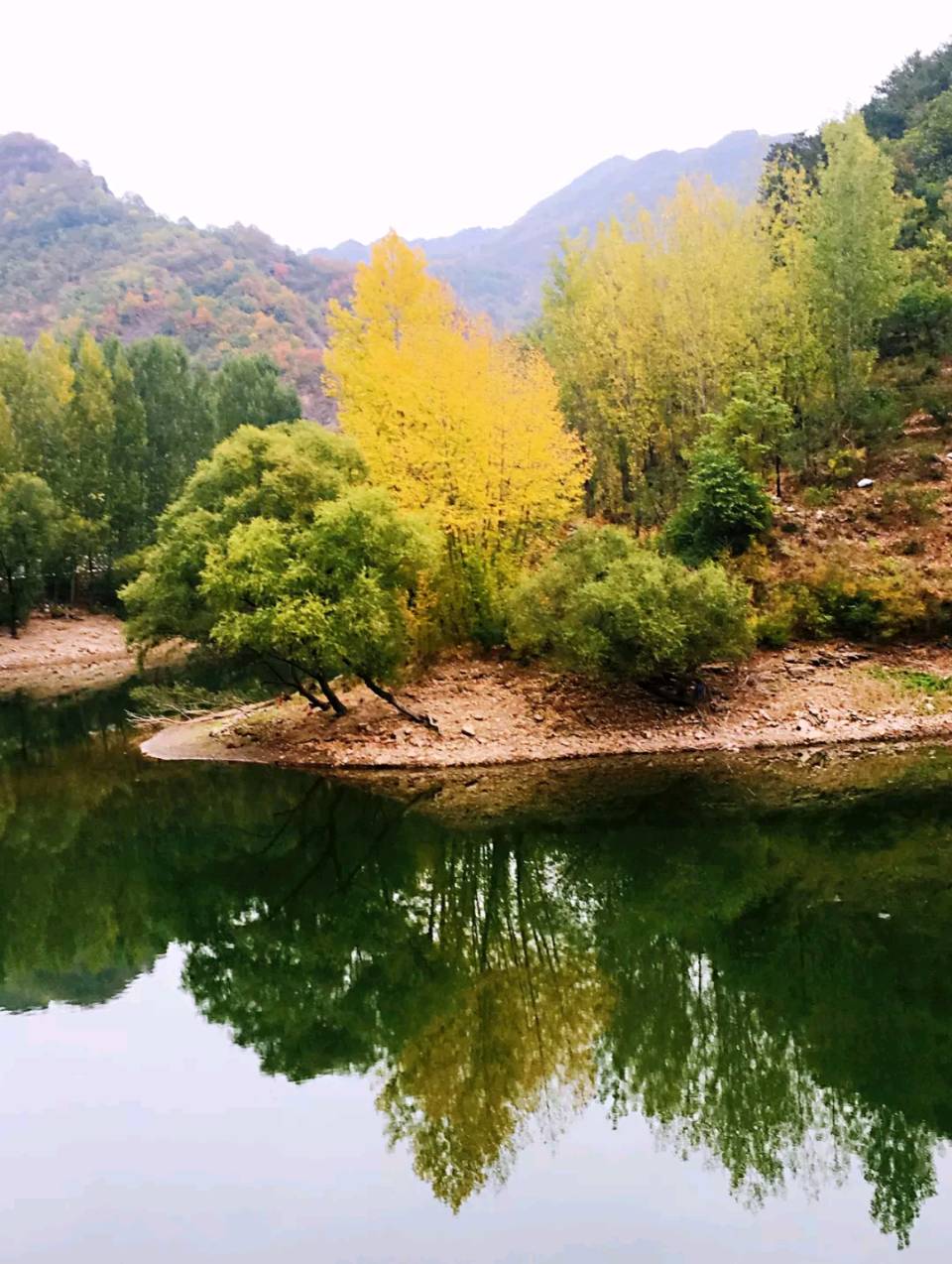 夏林初盛，碧色迢迢——诗上庄诗社第143期作品（图16）