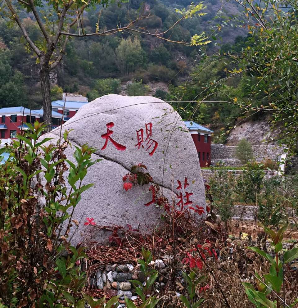 夏林初盛，碧色迢迢——诗上庄诗社第143期作品（图9）