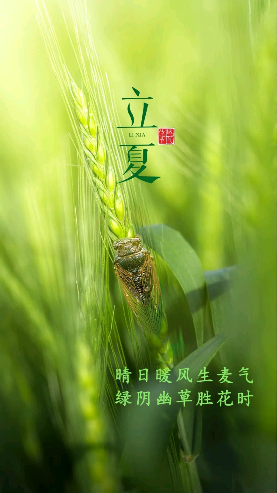 著名军旅诗人韩春久《立夏如诗》（图2）