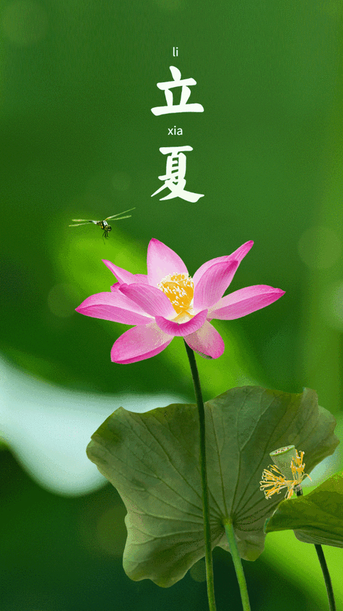 立夏‖巴彦诗词楹联协会【938】（图2）