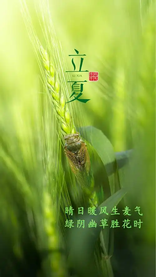 立夏‖巴彦诗词楹联协会【938】（图4）