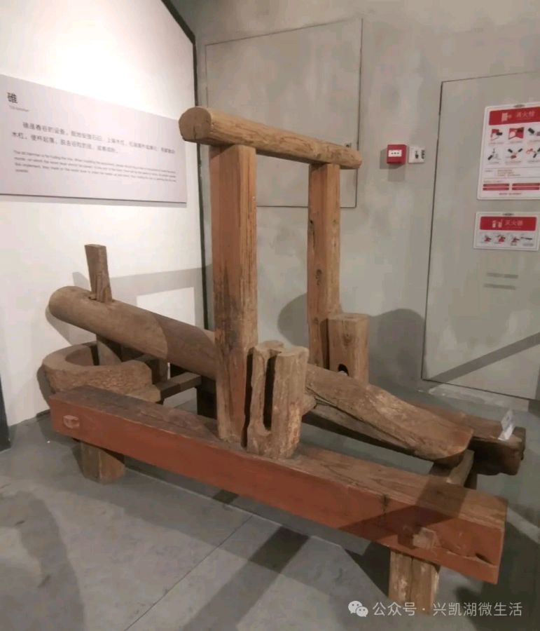 【游记】探寻客家文化——参观中国客家博物馆/王 博 王 夫(图24)