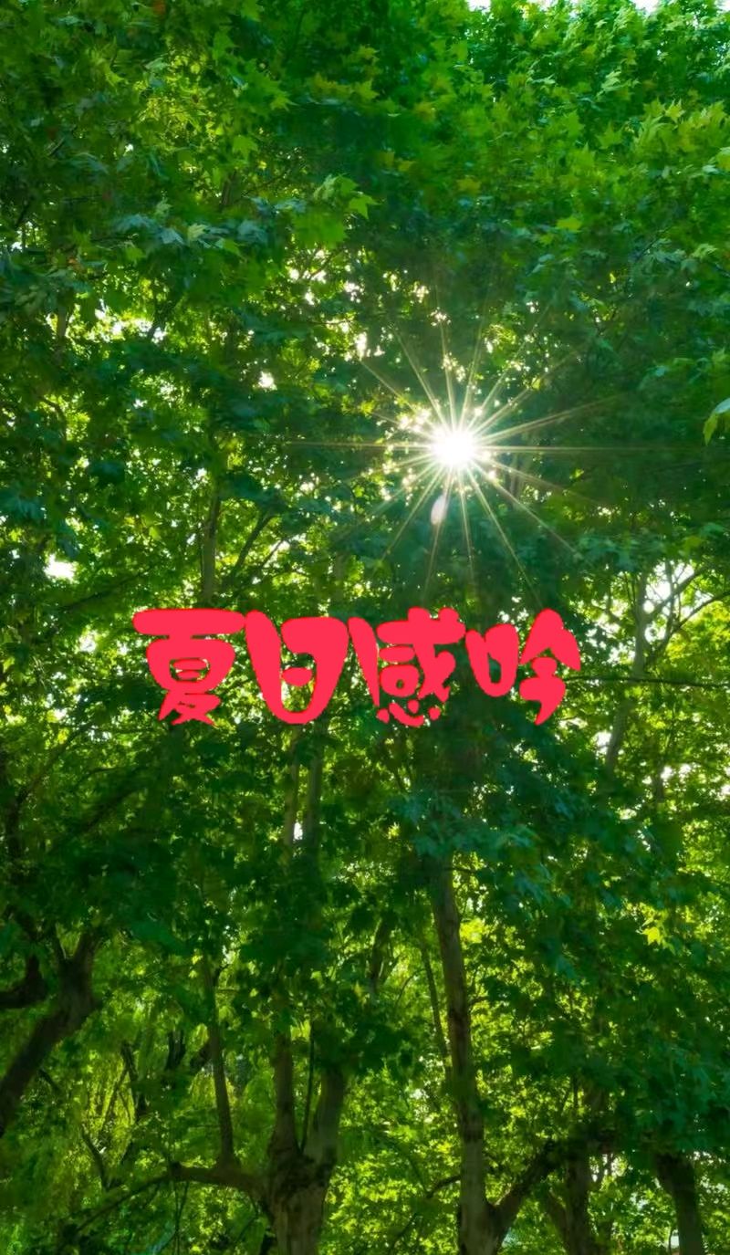 夏日感吟～诗◑李耀文（图11）