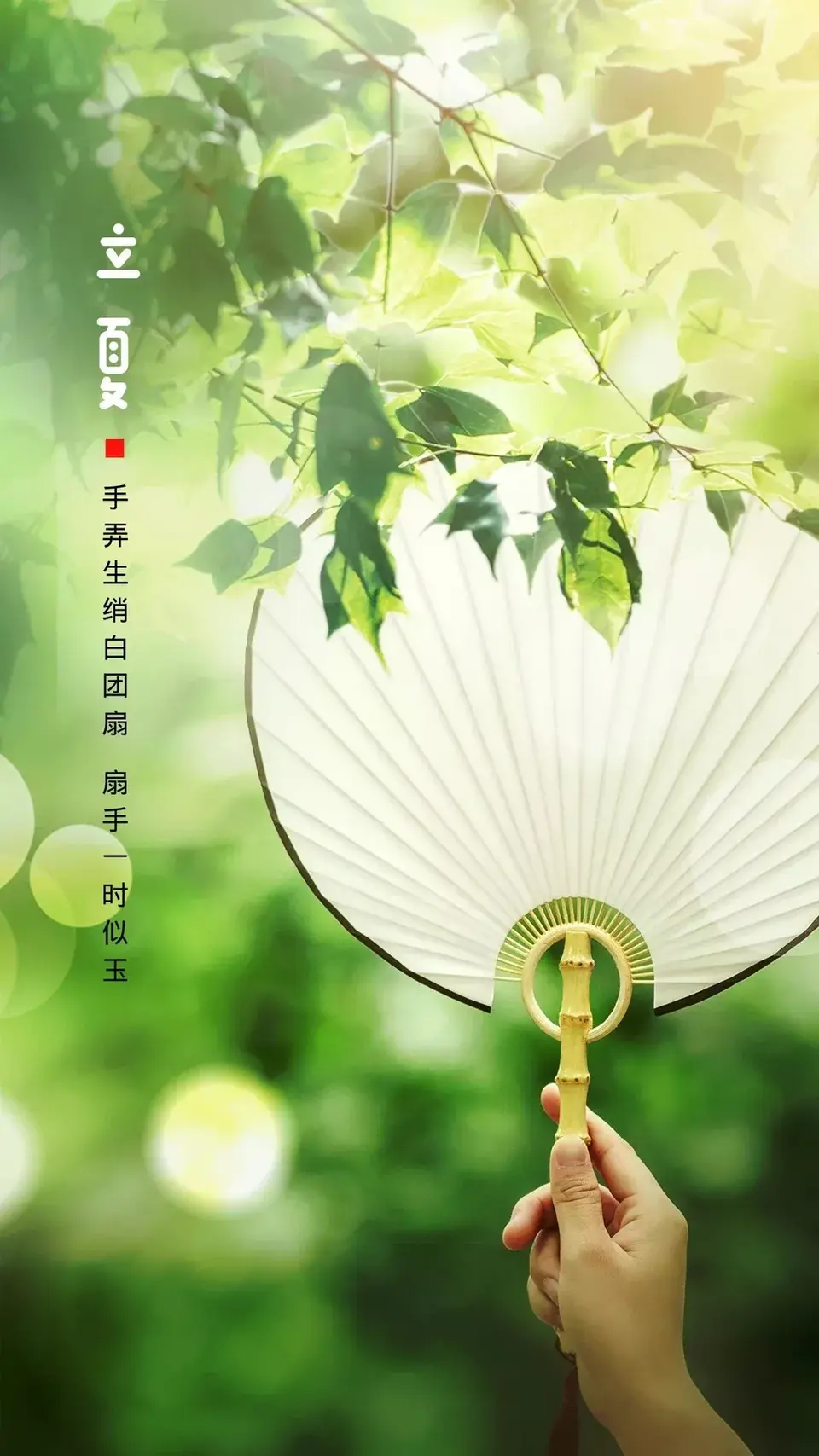 七律·立夏夜吟（文/韩满林）……莲叶之珠文学社（图4）