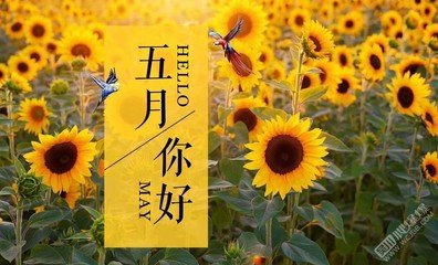 同题诵《五月的希望》 作者：碑林路人（图13）