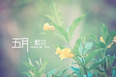 同题诵《五月的希望》 作者：碑林路人（图15）