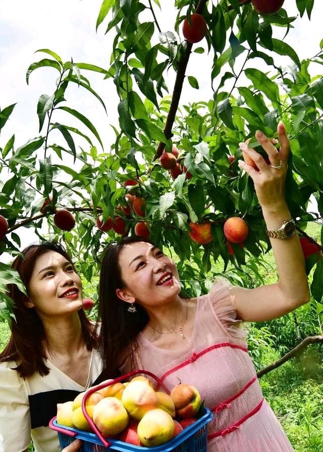 立夏有感（外一首）诗◑孙丙辉（图11）