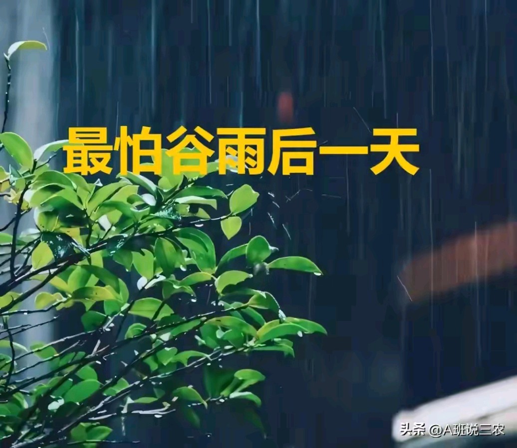 《何全兴诗人现代即兴诗几首》作者：何全兴 [中国现代诗歌文化传媒推荐]（图10）