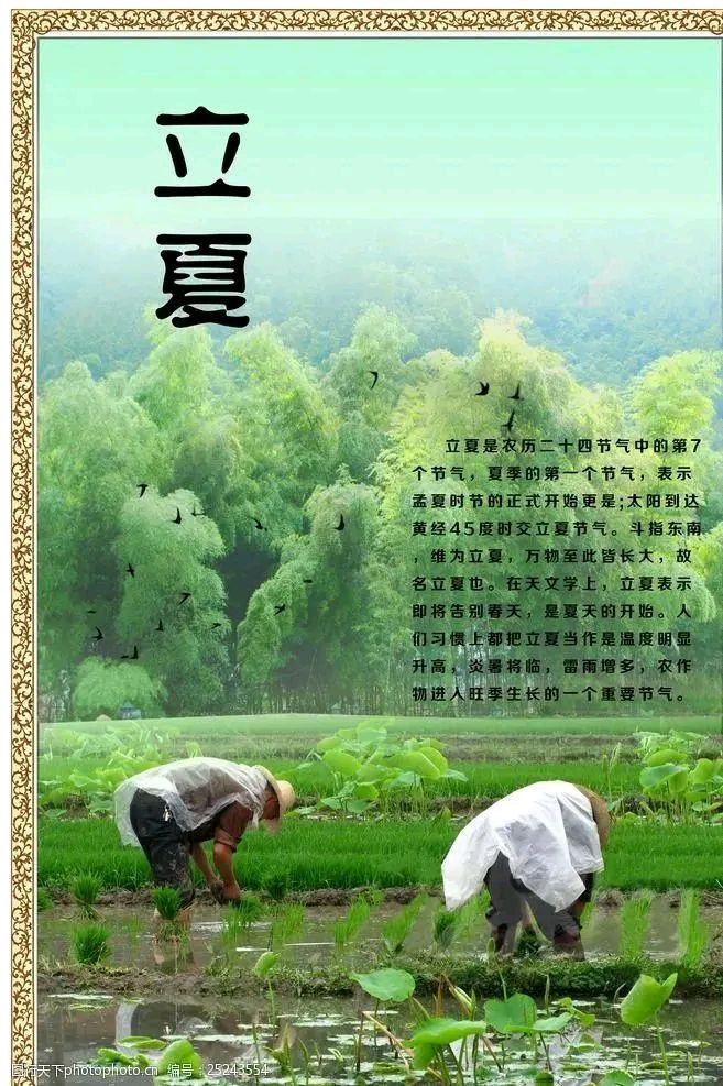 《回泉山人现代诗二首》作者：回泉山人 [中国现代诗歌文化传媒推荐]（图6）