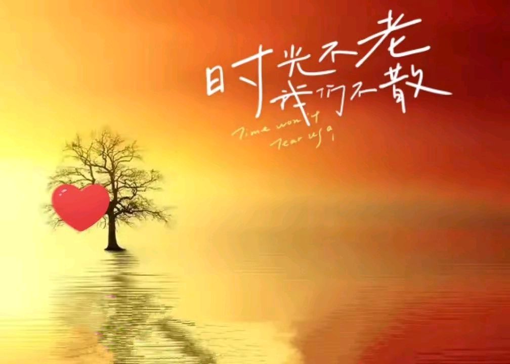 《深情是你永远的追随》作者：龙游天下 [中国现代诗歌文化传媒推荐]（图6）
