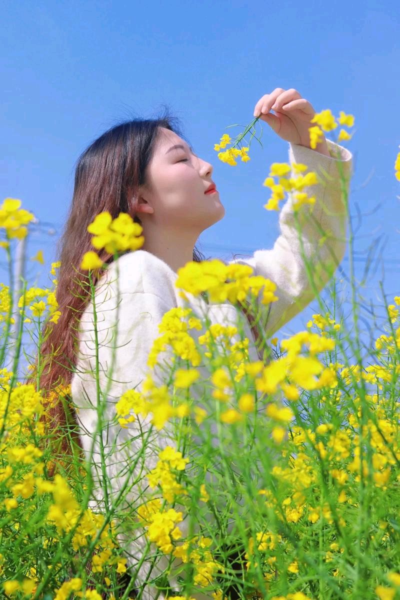 七律-春华（外一首）诗◑马文智（图15）