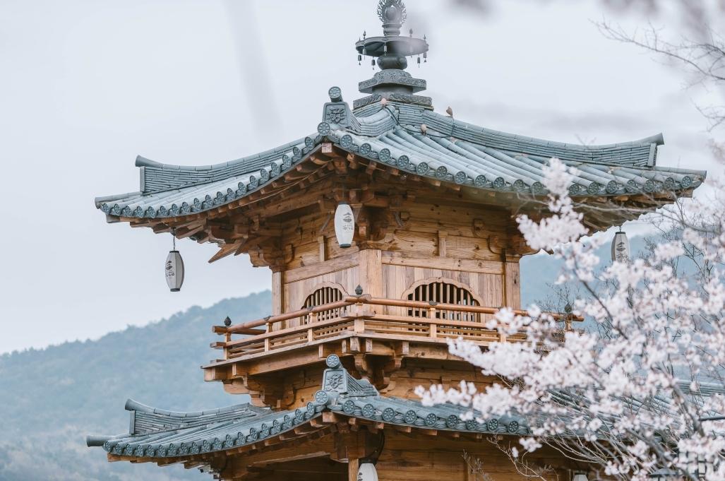 同题诵《拈花一笑》 作者：碑林路人（图12）