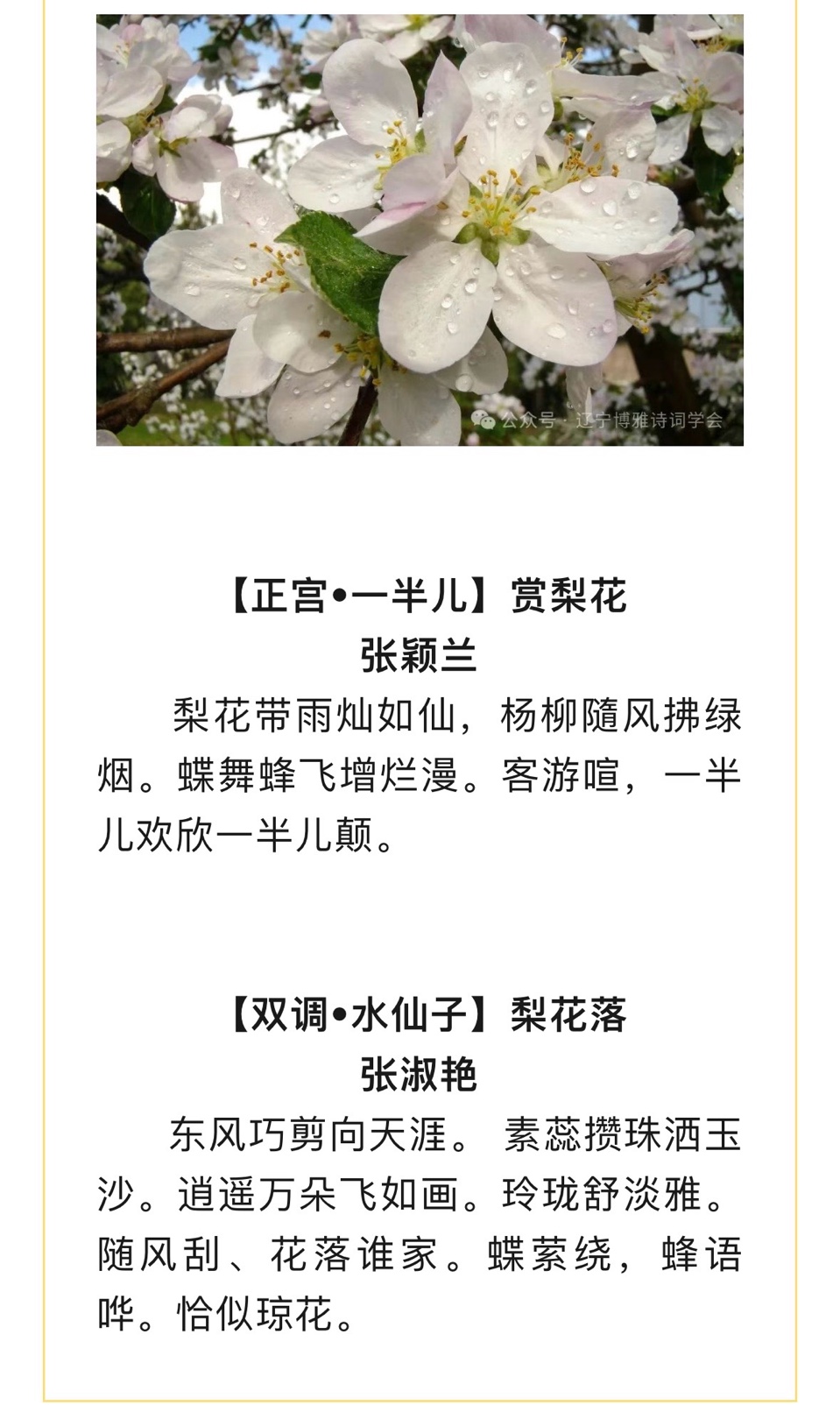 中华诗词发展基金会 辽宁省诗人之家（博雅）【同题试笔】“梨花”｜海外头条（图31）