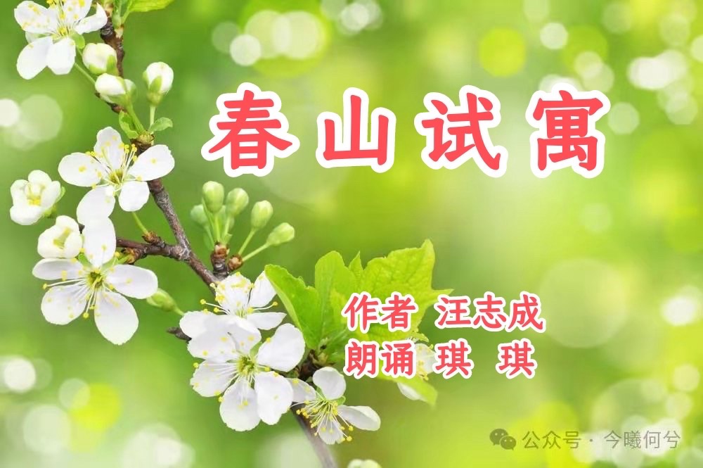 汪志成：《春山试寓》朗诵：琪琪~海外头条（图5）
