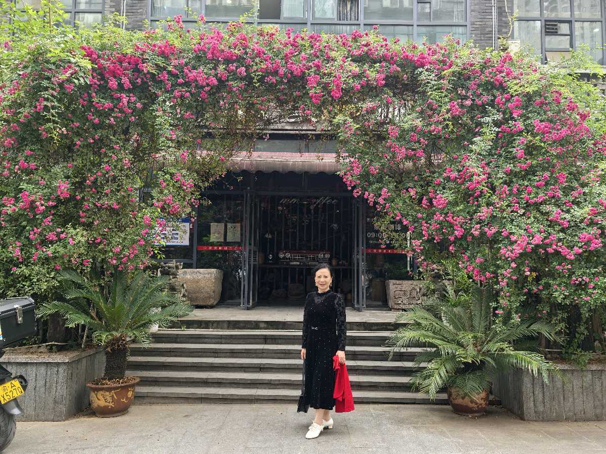 「散文诗」初夏的三角梅（图4）
