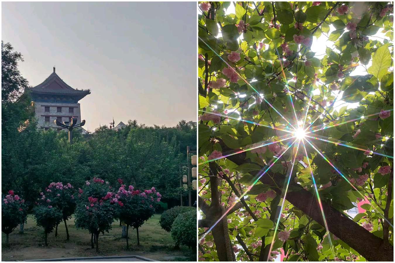 【重磅推出】鲁坡//[老兵自有雄风在]人间四月入诗情•[此心天可鉴]（图7）