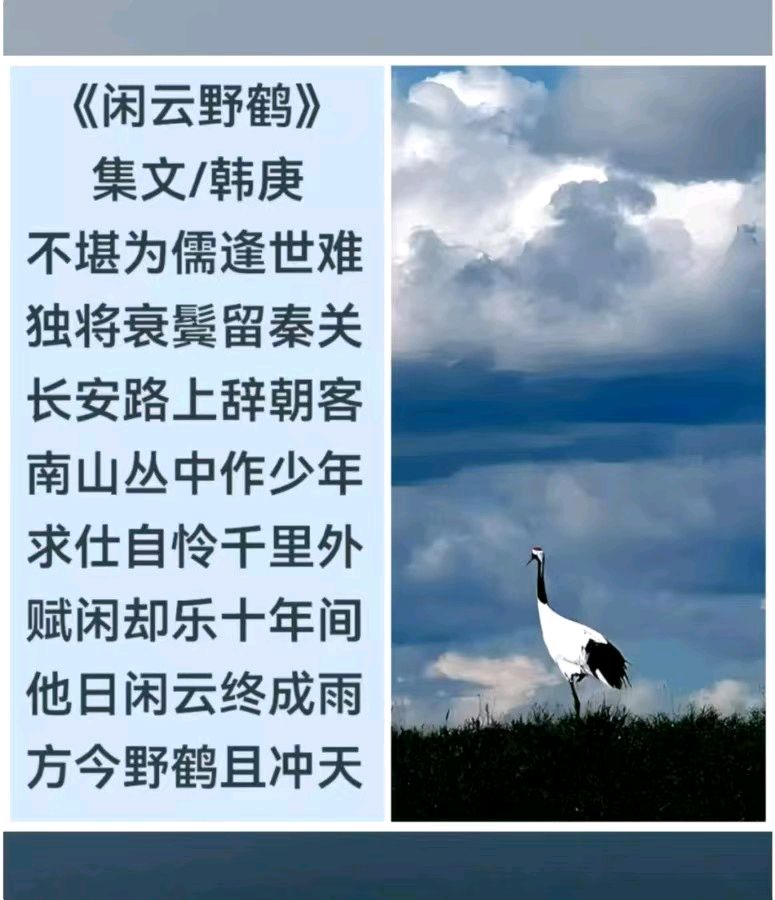 韩庚的《闲云野鹤》