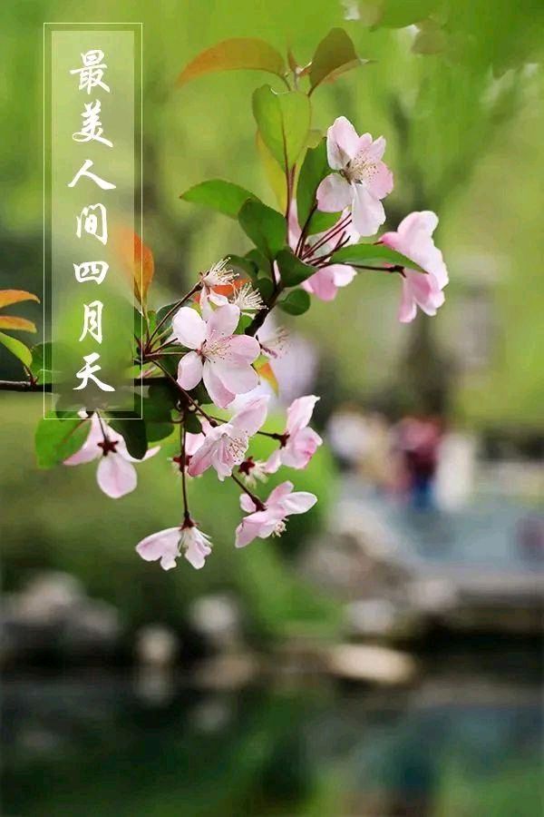人间四月（外一首）诗◑李耀文（图11）