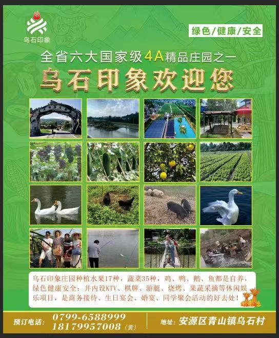 “乌石印象杯”文学星光大道红绿双色文学大赛征文启事（图2）