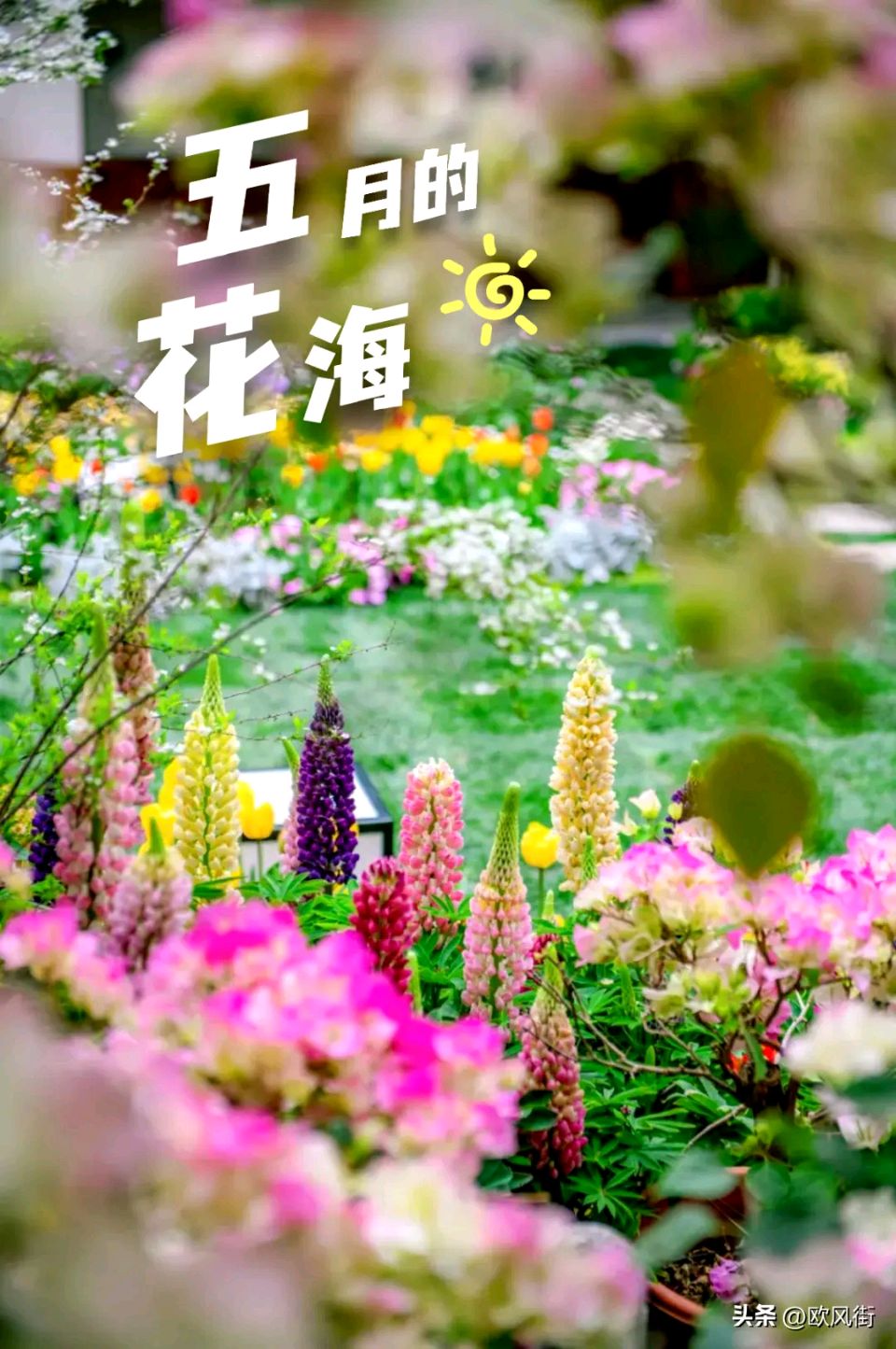 《刘文波著名现代诗人现代古诗七律三首》作者：刘文波 [中国现代诗歌文化传媒推荐]（图6）