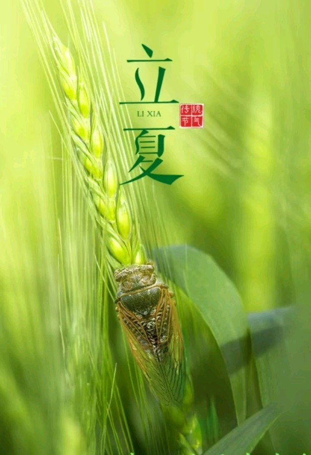 诗三首/作者：平安是福（图3）