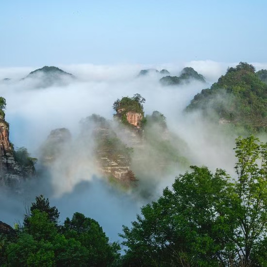 七律·齐云山忆旧寄友（文/冯清明）……莲叶之珠文学社（图5）