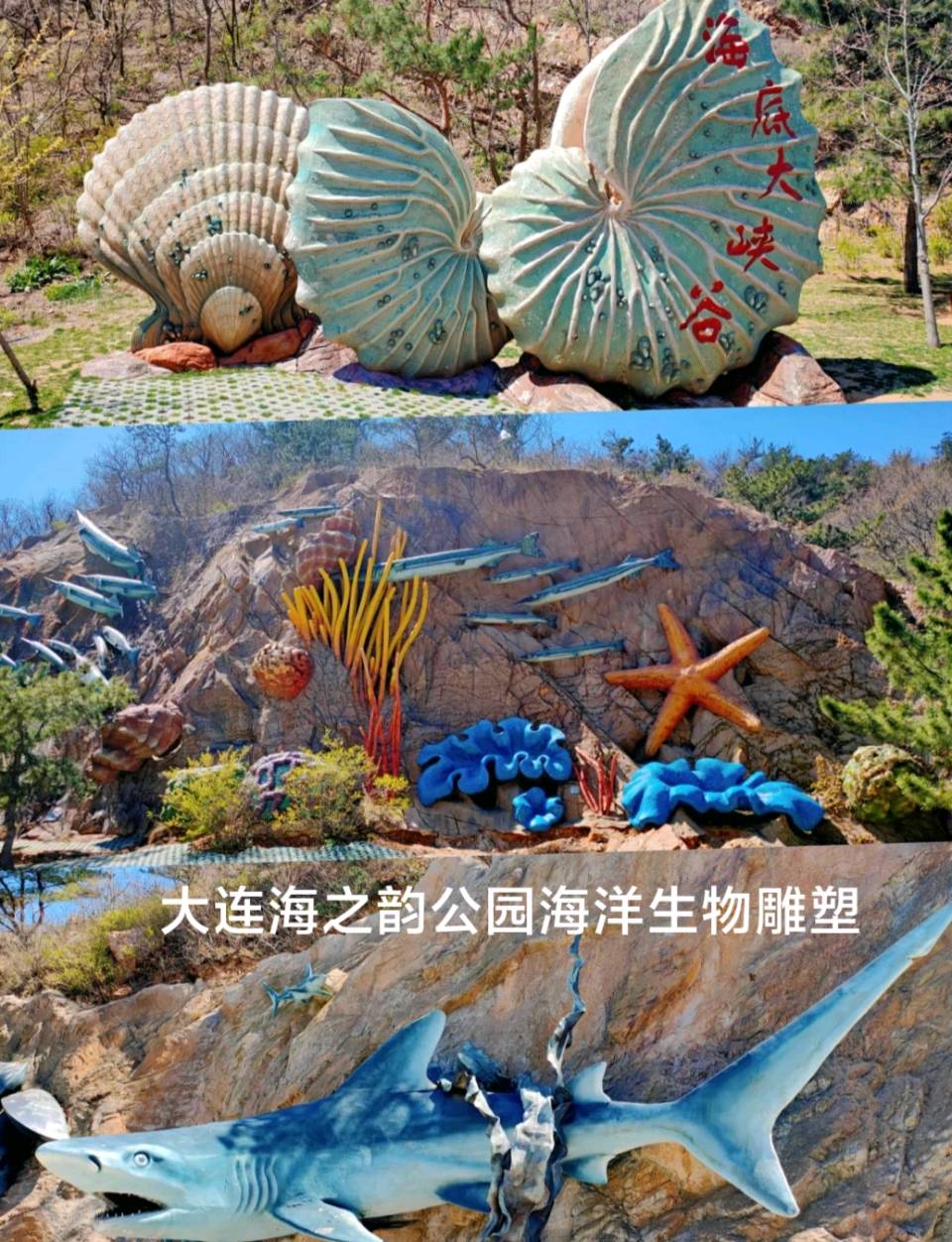 大连是个好地方～诗◑李耀文（图25）
