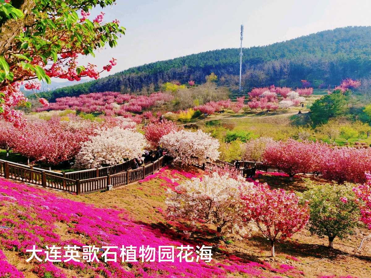 大连是个好地方～诗◑李耀文（图12）