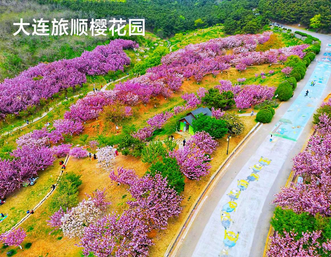 大连是个好地方～诗◑李耀文（图11）