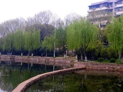 【荣耀中国】七律·四美塘文/钟向严（图4）