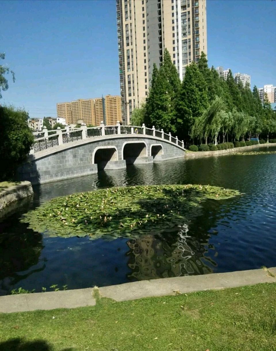 【荣耀中国】七律·四美塘文/钟向严（图5）