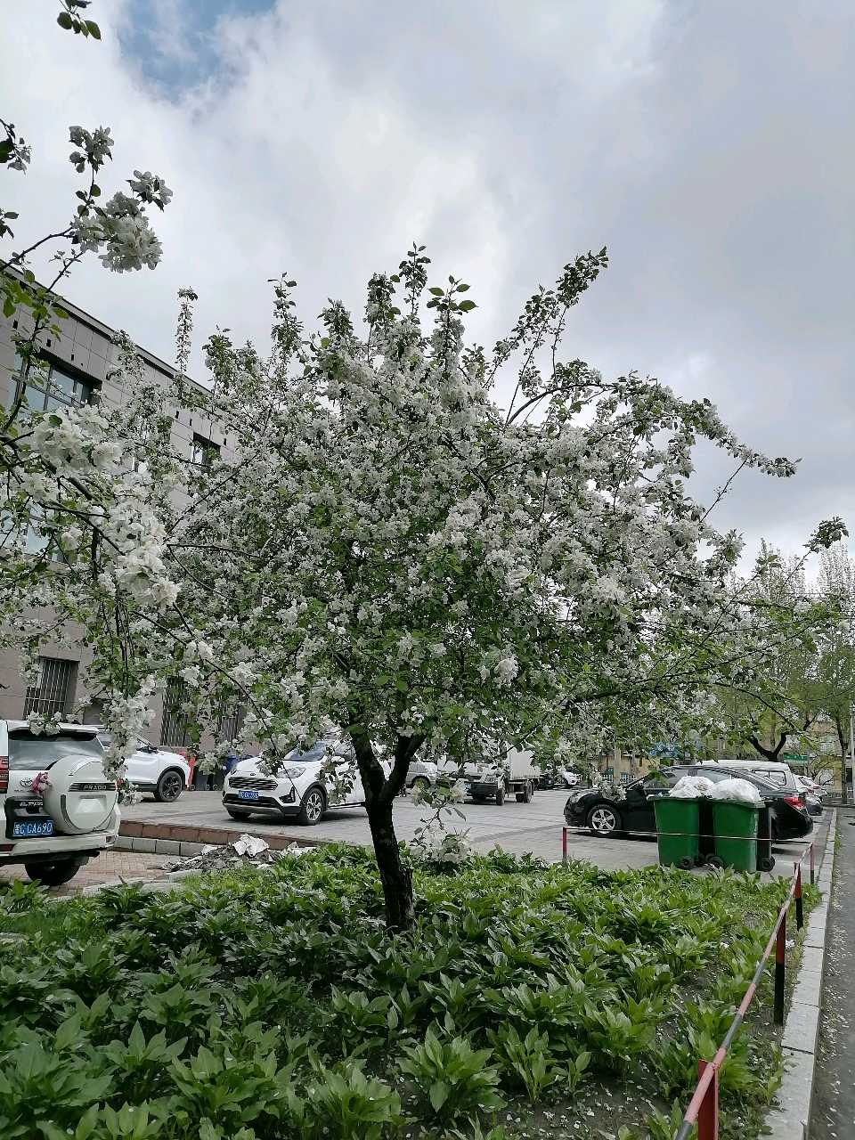 名家精品诗文【骤雨忽倾潄玉泉，霁收犹现残霞观】 1299作家：三木秉凤先生（周凤森）编辑制作：烟雨蒙蒙（图9）