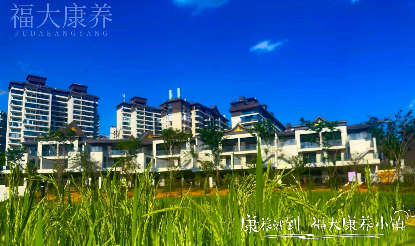 西双版纳福大康养小镇,开启身心归巢之旅(图2)
