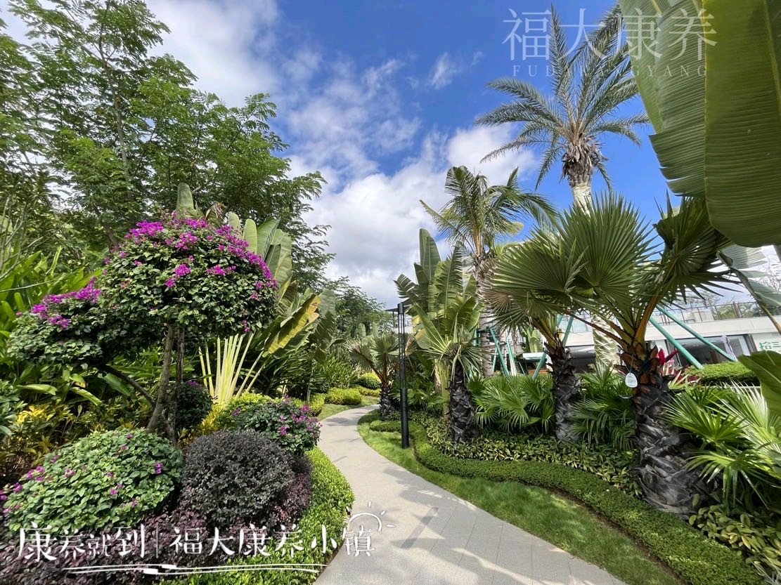西双版纳福大康养小镇,开启身心归巢之旅(图31)