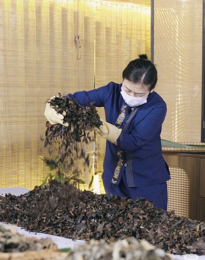 西双版纳福大康养小镇,开启身心归巢之旅(图41)