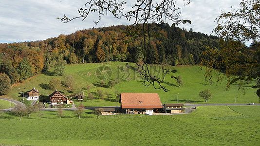 神州石都南山翁（張國盛）《人民生活无限美 》第九十六集七百二十一交流与投稿 星期一诗词十二首（图8）