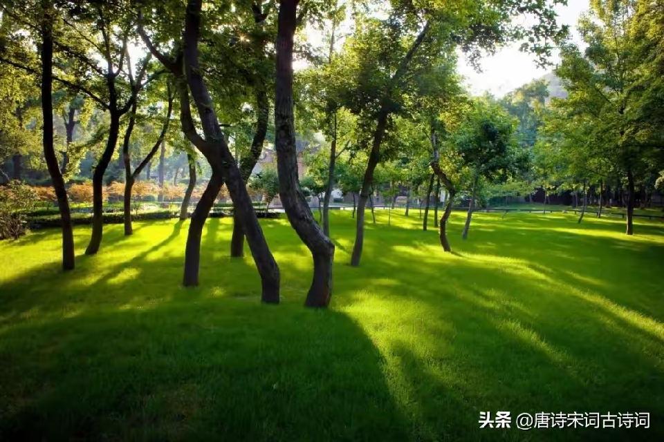 孙述考、王保江文三篇……莲叶之珠文学社(图8)