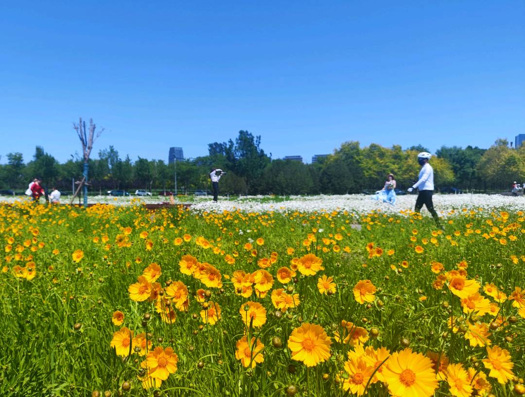 《洗礼》文‖燕趙遺風（图5）