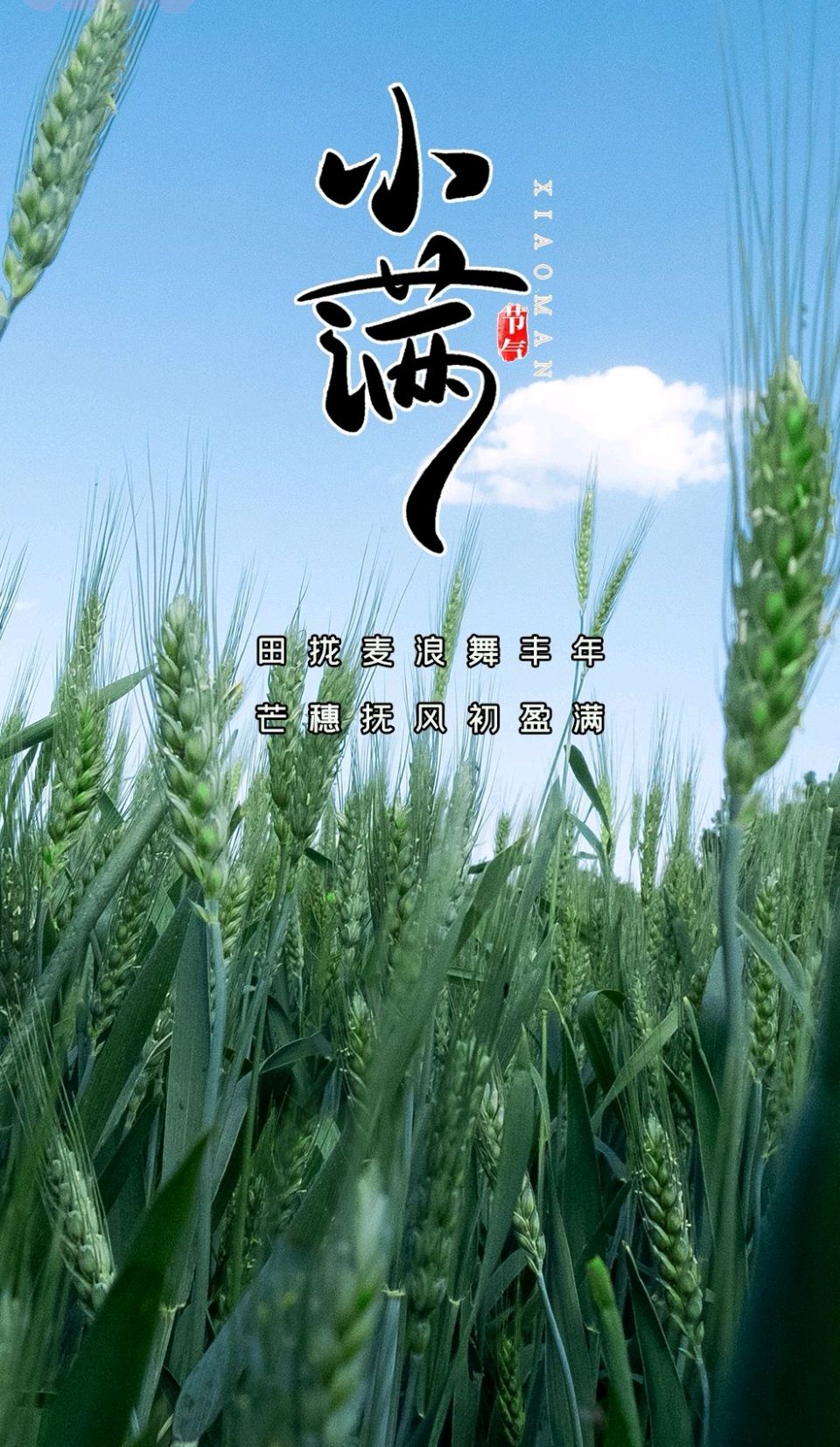 七言排律-小满随笔～诗◑杨景儒（图11）