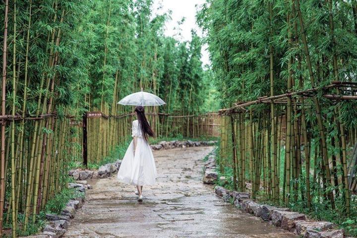 同题诵《你是我的诗行》 作者：月下草（图7）