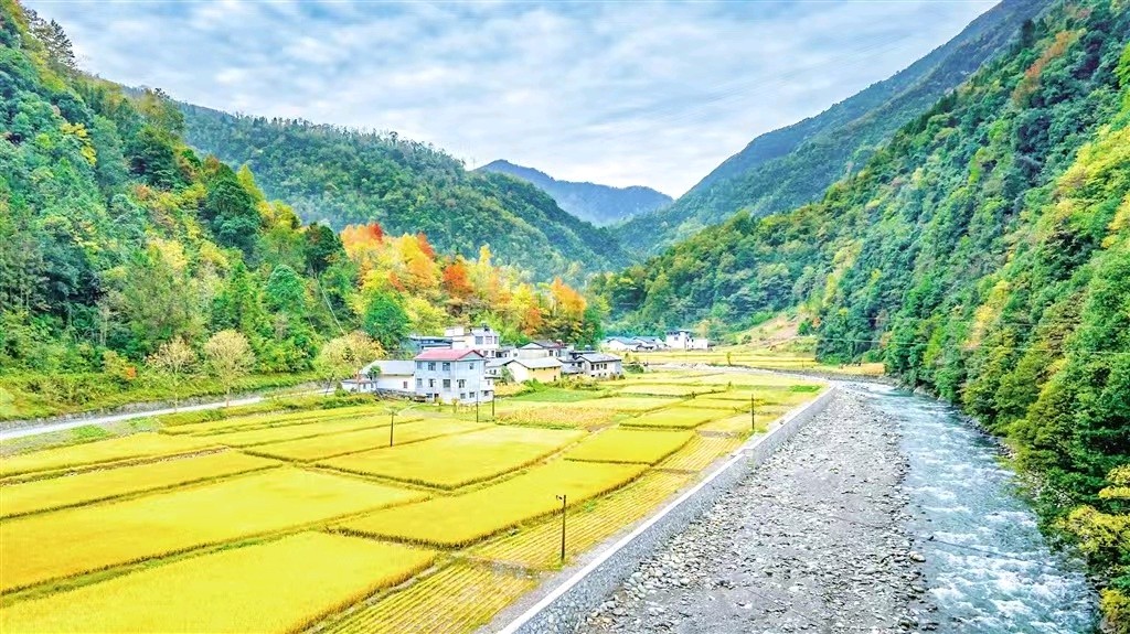 【荣耀中国】清平乐.晚春文／幽谷豳草（图4）