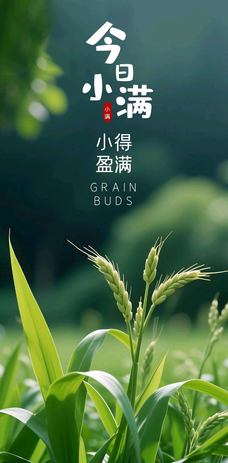 小满吟怀（组合）诗◑于兴庆（图10）