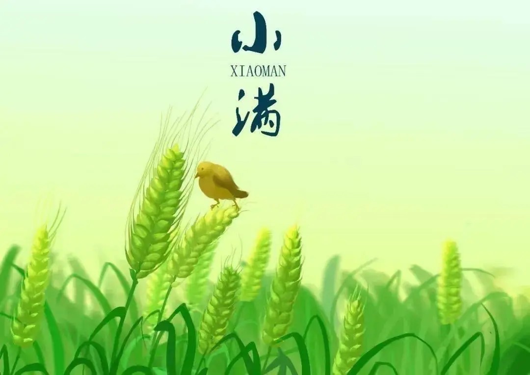 【新诗大观】小满||文/张道发（图3）