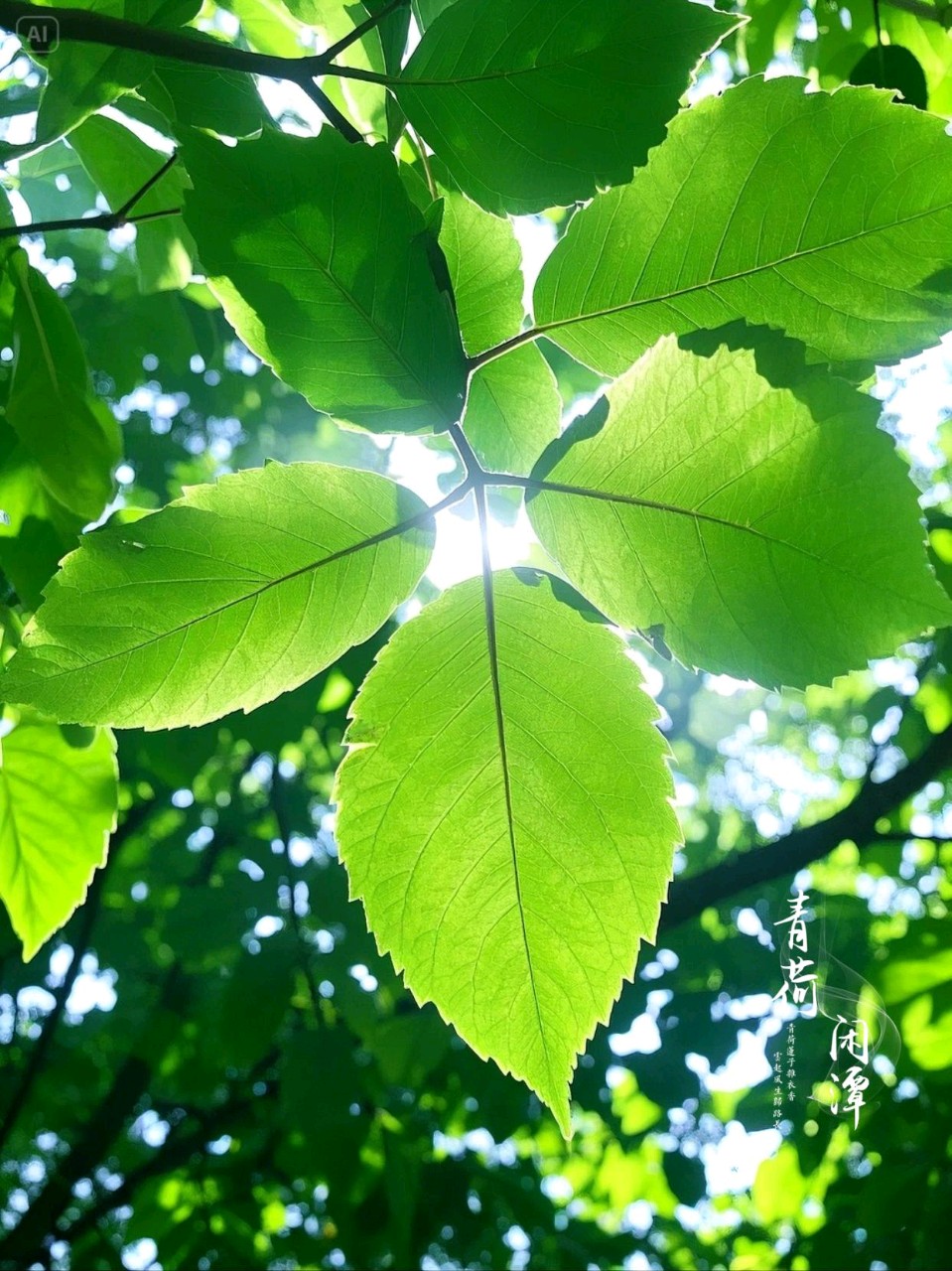 小满题吟(外首)作者:金夜（兰州）（图2）