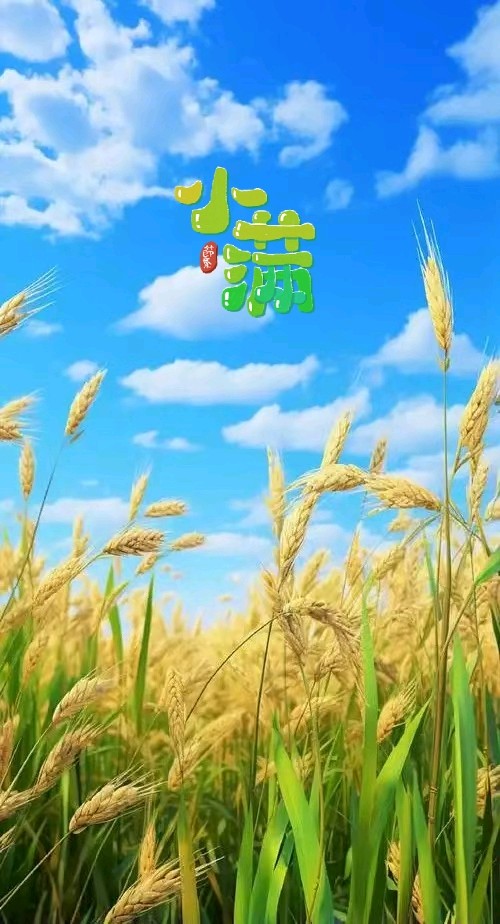 七律-小满悟真～诗◑雅轩琴韵（图11）