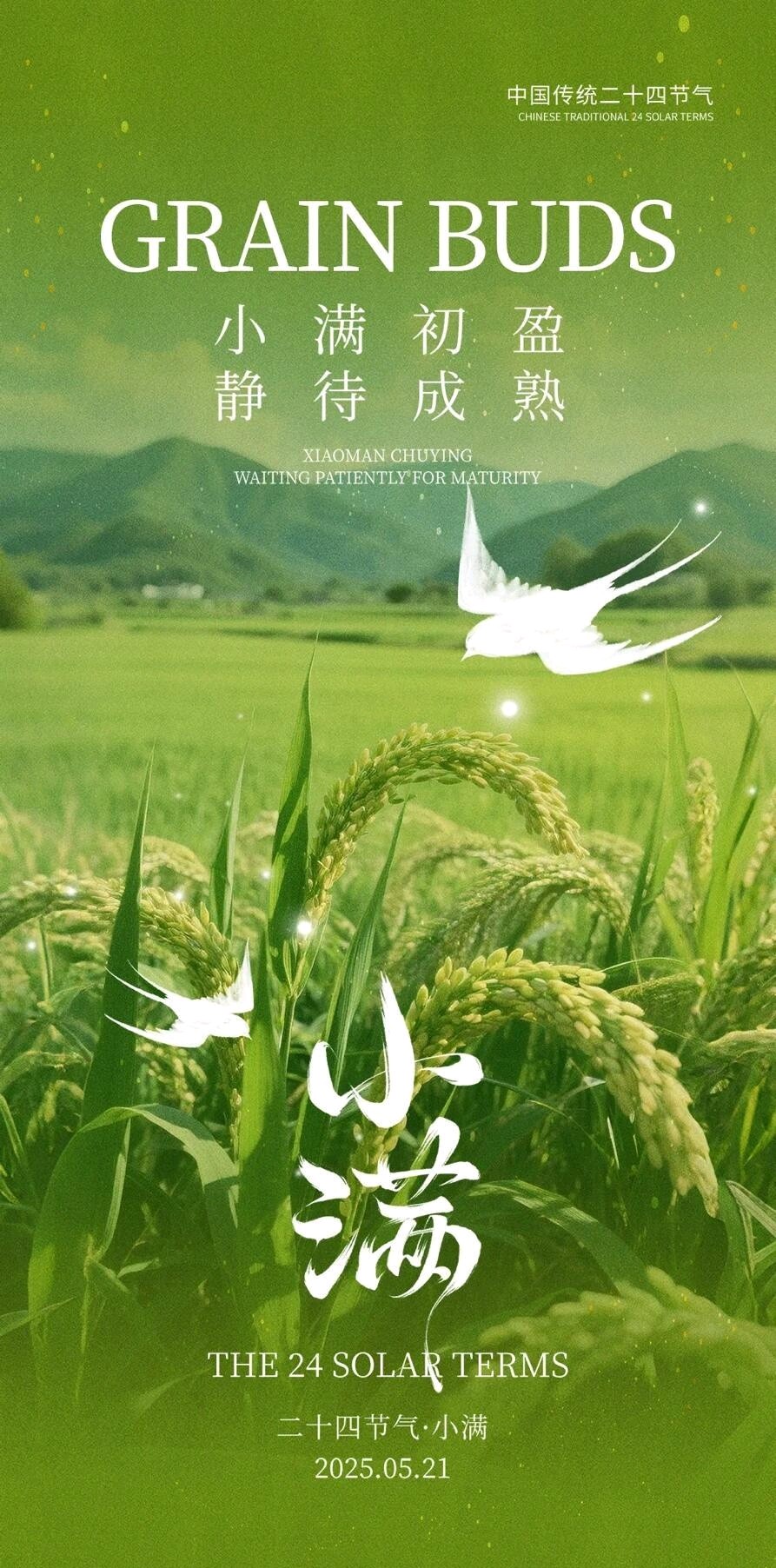七律-小满悟真～诗◑雅轩琴韵（图15）