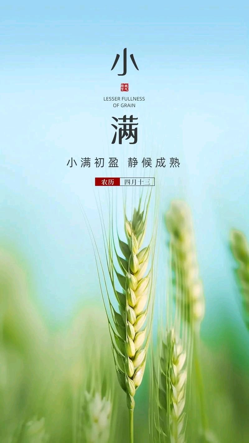 军旅诗人韩春久《小满风光》（图2）