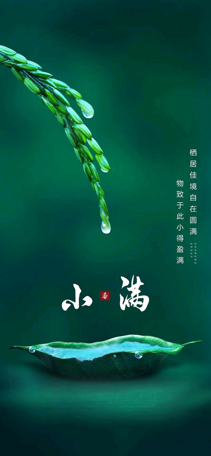 军旅诗人韩春久《小满风光》（图4）
