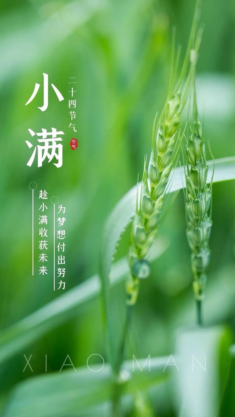 马喜军：小滿（外一首）海外头条（图5）