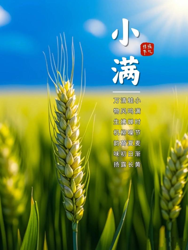 同题诵《小满感怀》 作者：王胜利（图10）